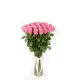 45-rose bouquet: pink roses “Miss Piggy”