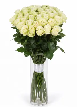 45-rose bouquet: long-stem imported white roses “Mondial”