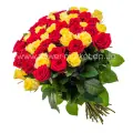 51 roses