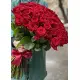 51 red roses 51 red roses