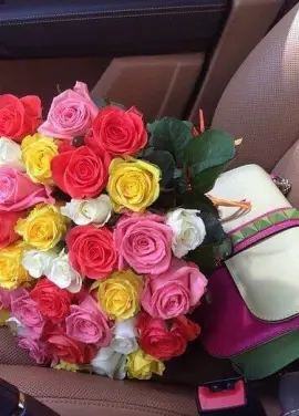 51 multicolored roses