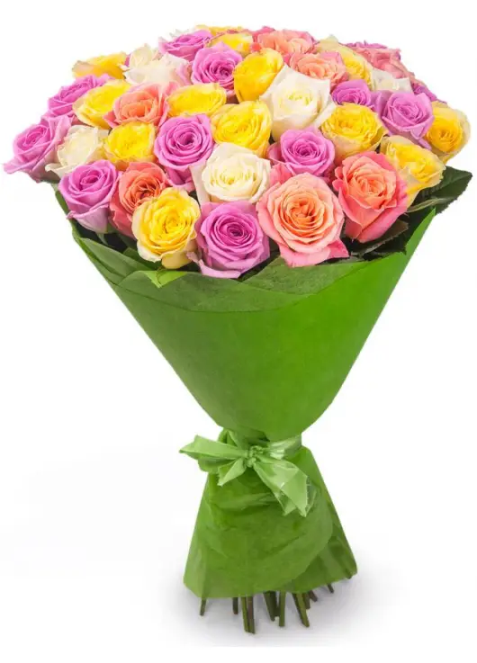 51 multicolored roses