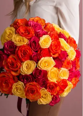 Helios 51 yellow and red roses