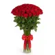 51 Holland roses