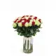 Bouquet of 51 red and white roses