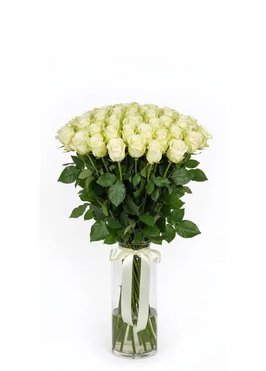 51 white roses in a bouquet