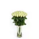 51 white roses in a bouquet