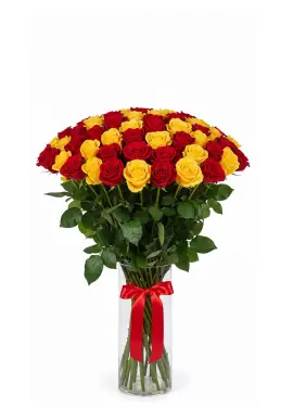 Helios 51 yellow and red roses