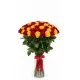Helios 51 yellow and red roses
