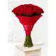 51 red roses 51 red roses