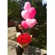 51 red roses 51 red roses