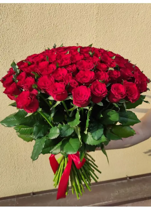 51 red roses 51 red roses