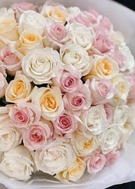 51 delicate roses "Dnipro morning"