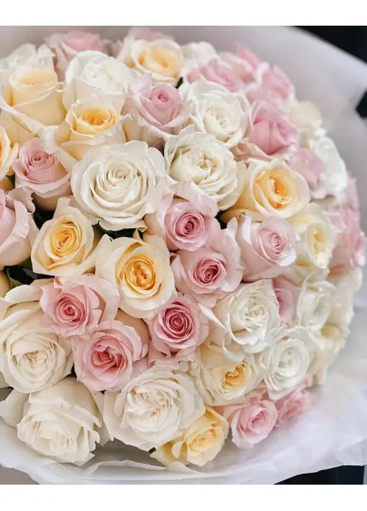 51 delicate roses "Dnipro morning" 51 delicate roses "Dnipro morning"