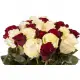 Red and white roses