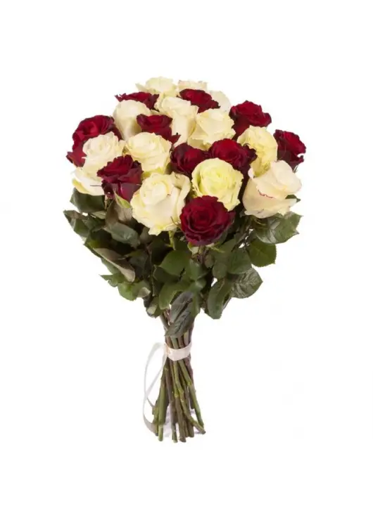 Red and white roses