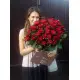 Bouquet of red roses Bouquet of red roses