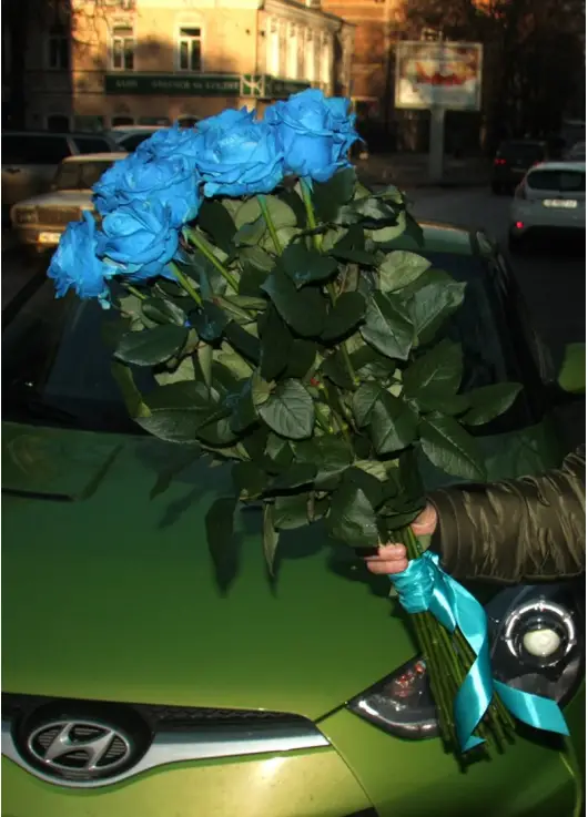 Blue roses "Fifth element" Blue roses "Fifth element"