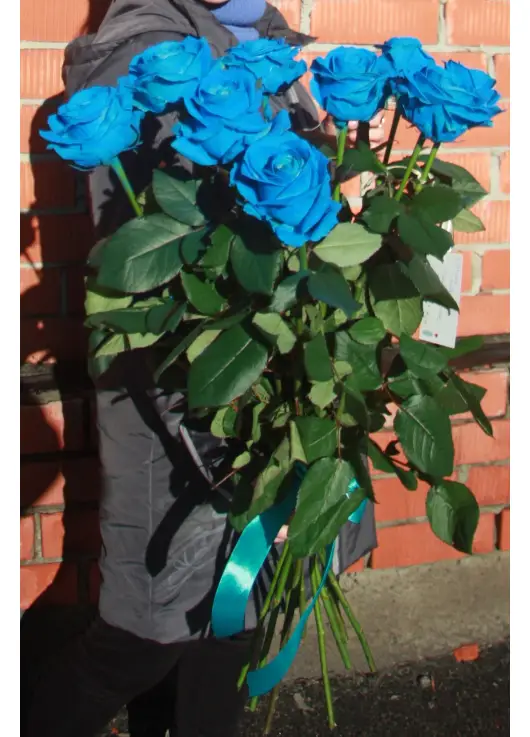 Blue roses "Fifth element" Blue roses "Fifth element"