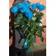 Blue roses "Fifth element" Blue roses "Fifth element"