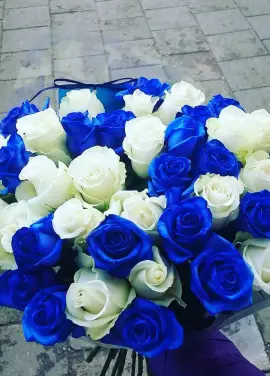Laguna 51 blue and white roses