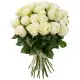 Avalanche white roses Avalanche white roses