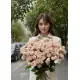 Creamy bush rose Summer rose Dnipro Creamy bush rose Summer rose Dnipro