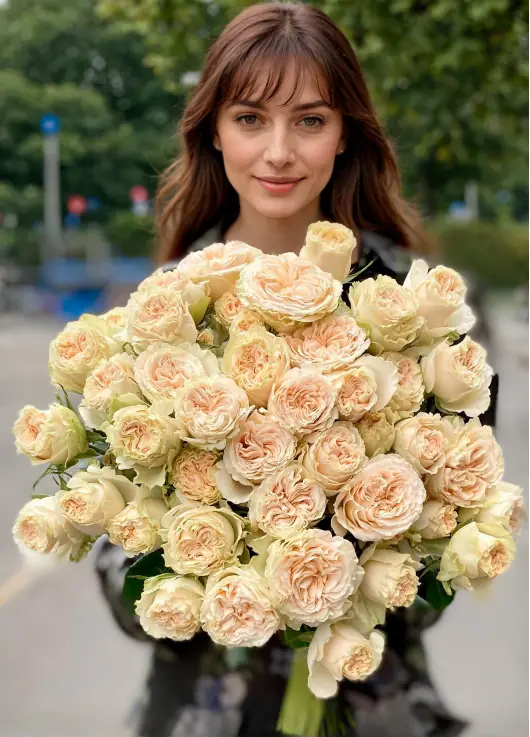 Creamy bush rose Summer rose Dnipro Creamy bush rose Summer rose Dnipro