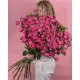 Shrub peony rose "Bubbles" in a bouquette