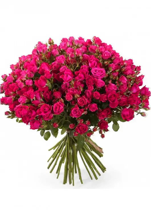 Bushed roses Dnipro Bushed roses Dnipro