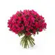 Bushed roses Dnipro Bushed roses Dnipro