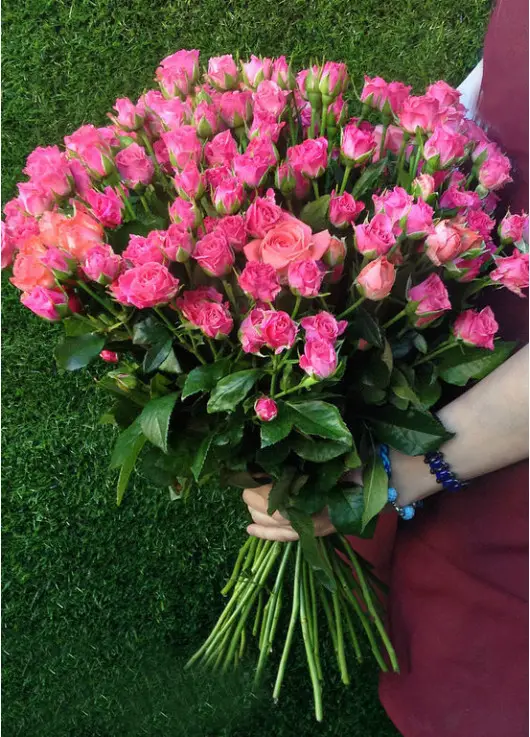 Bushed roses Dnipro Bushed roses Dnipro