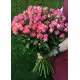 Bushed roses Dnipro Bushed roses Dnipro