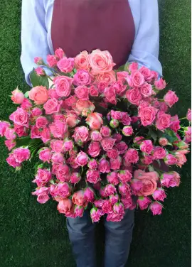 Bushed roses Dnipro