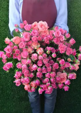 Bushed roses Dnipro