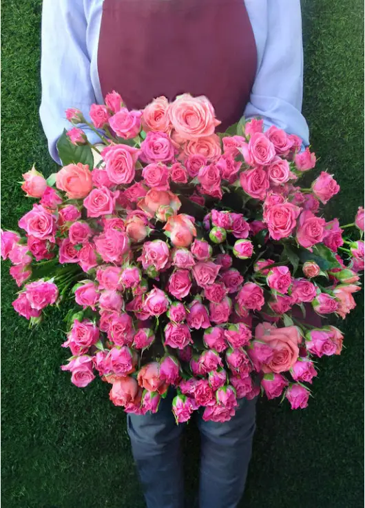 Bushed roses Dnipro
