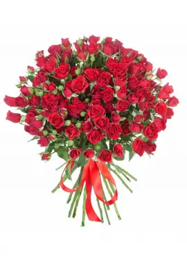 Bushed roses Dnipro