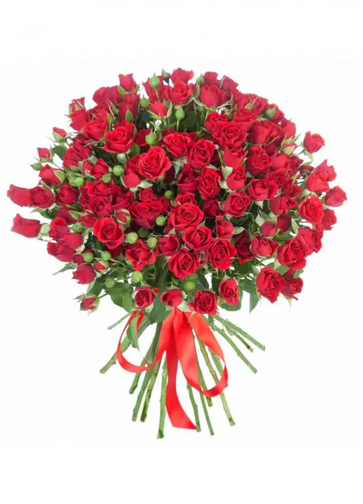 Bushed roses Dnipro Bushed roses Dnipro