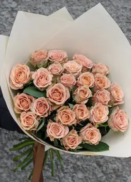 Coffe color roses Cappuccino