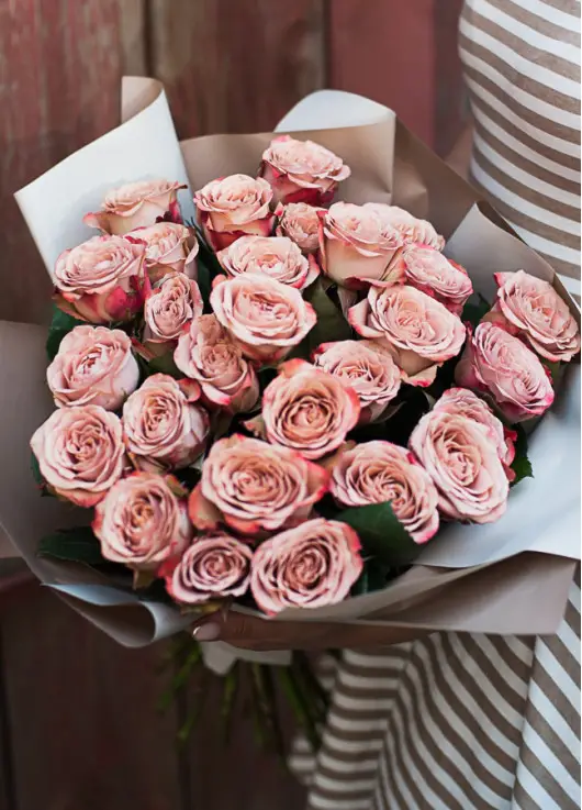 Coffe color roses Cappuccino