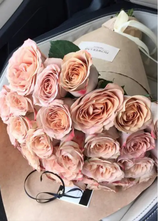 Coffe color roses Cappuccino