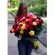 Glamor 101 rose Elite 80 cm