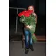 Red rose Freedom