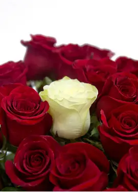 Bouquet of roses "The only one"