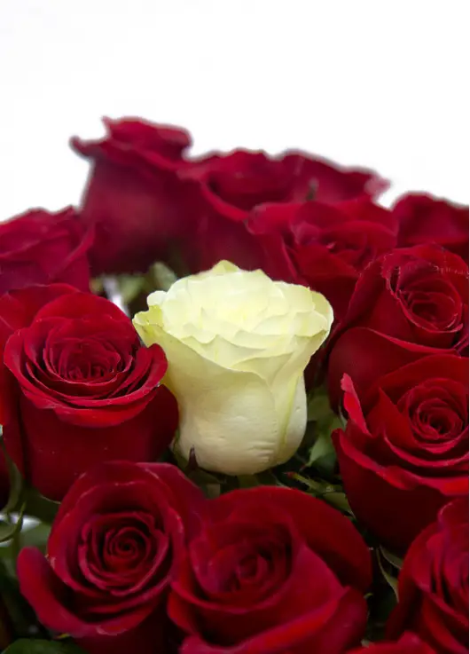 Bouquet of roses "The only one" Bouquet of roses "The only one"
