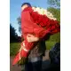 101 red roses 101 red roses