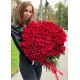 101 red roses 