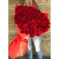 101 meter rose