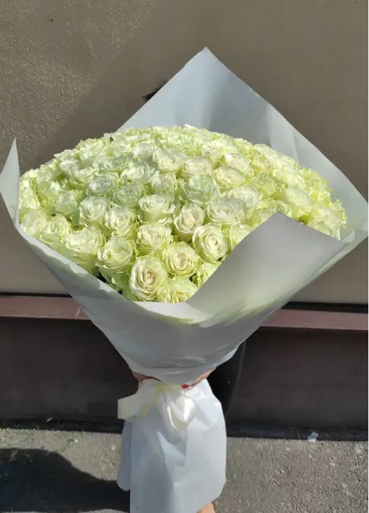 101 white roses
