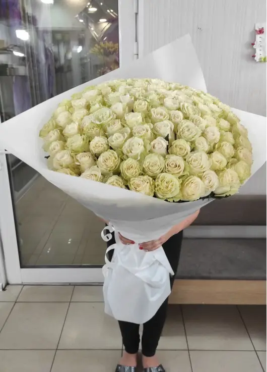 101 white roses